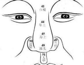 繼室鼻|面相學中的鼻子怎麼看